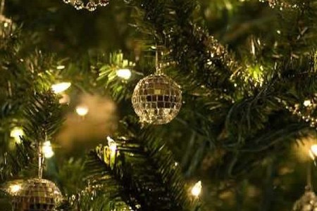 Consejos para comprar un arbol de Navidad natural