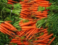 imagen Cultiva zanahorias en casa