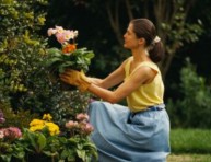 imagen Consejos para los jardineros