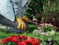 imagen Herramientas de jardín que debes tener – Primera Parte