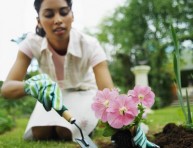 imagen La jardinería, una terapia saludable