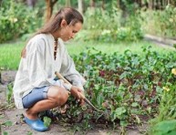 imagen Labores básicas de la jardinería (II)