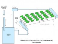 imagen El cultivo hidropónico