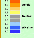 imagen Controla el ph