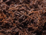 imagen Vermicompost, ¿Para qué sirve?