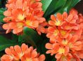 imagen La Clivia