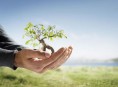 imagen Planta correctamente