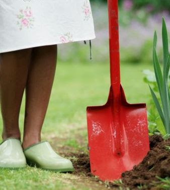 Usar cal y yeso en el jardín