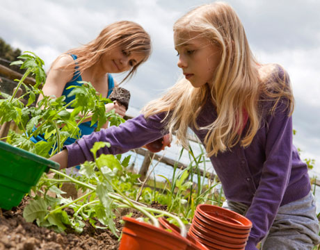 Multiplicación Jardinería