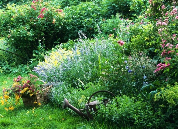 Limpieza y poda del jardín tras las vacaciones 1