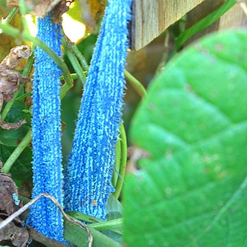 herramientas de jardín 3