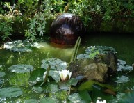 imagen Mantenimiento de los estanques de jardín