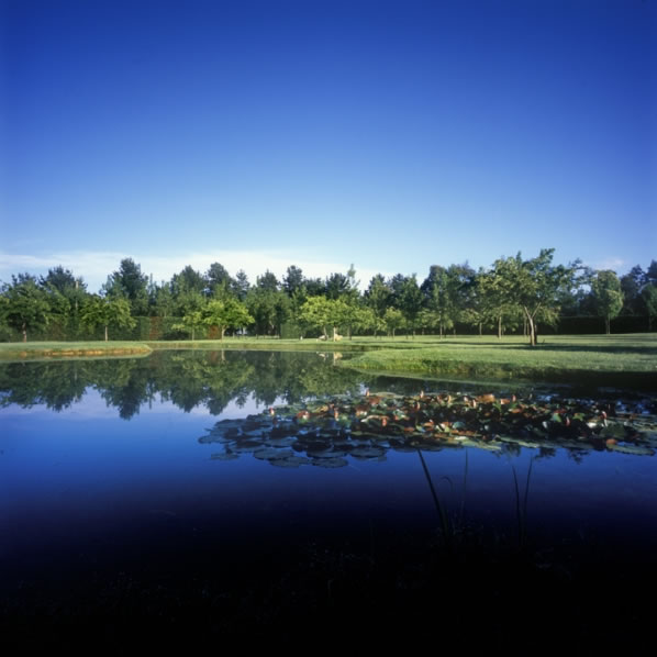 Simetría en el jardín 9