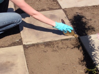 Un tablero de ajedrez en el jardín