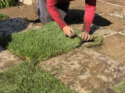 Un tablero de ajedrez en el jardín
