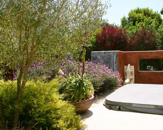 Un jardín mediterráneo en California 1