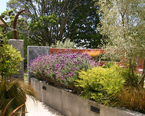 Un jardín mediterráneo en California 4