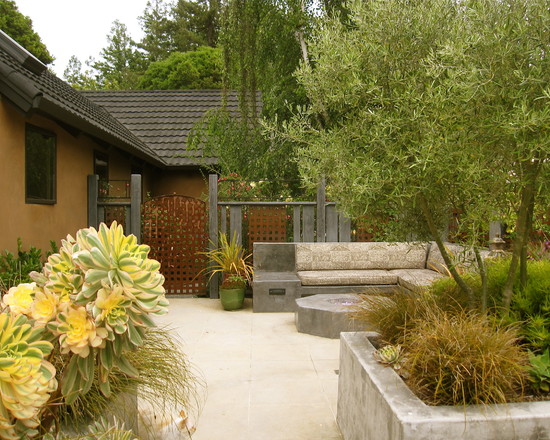 Un jardín mediterráneo en California 6