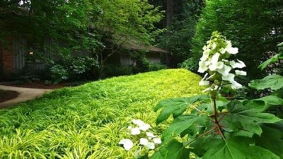 Un jardín para guardar la privacidad