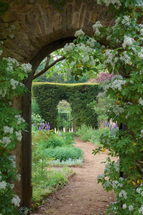 Gertrude Jekyll 3