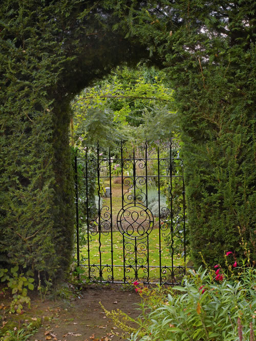 Gertrude Jekyll 7