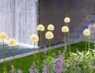 imagen El estilo moderno en jardinería