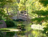 imagen El jardín japonés