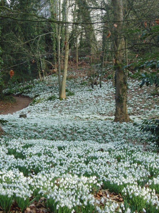 Jardín Painswick Rococo 9