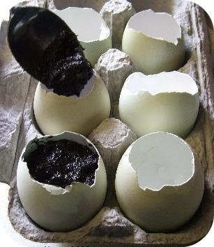 cáscaras de huevo a modo de macetas 2