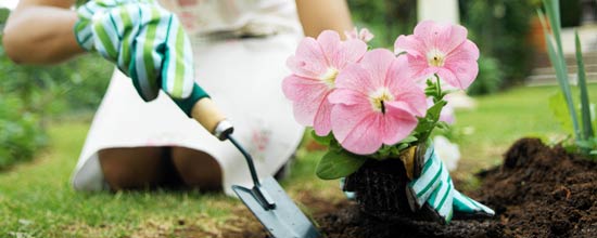 Aprende a tener un buen jardín