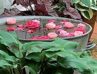 imagen Cómo transformar cualquier espacio en un jardín