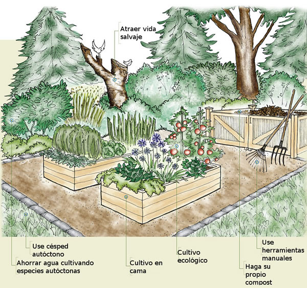 Jardín sostenible 2