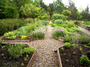 Caminos y senderos en el jardín2