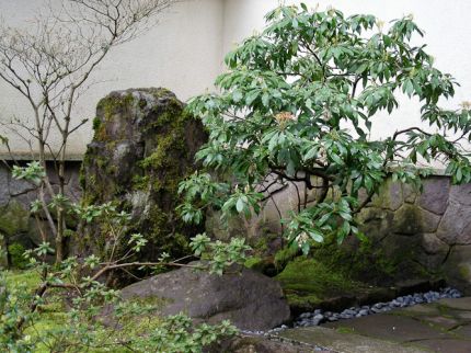 Lecciones japonesas para diseñar jardines 1