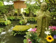 imagen Diseña tu propio jardín Zen