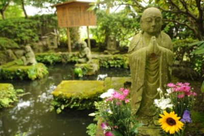 Diseña tu jardin Zen