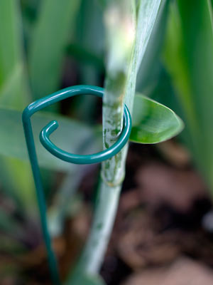 Soportes y tutores para plantas 3