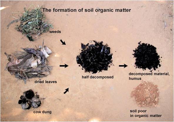 Qué es la materia orgánica 1