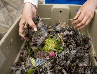 imagen Cómo preparar compost de lombriz