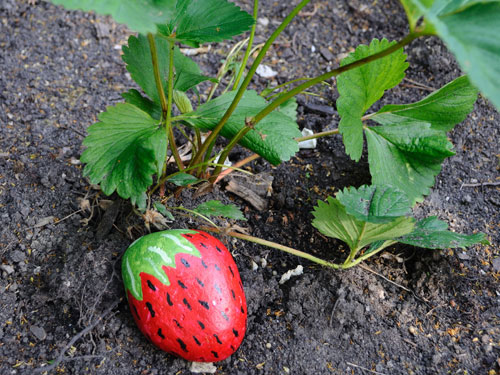 Piedras como fresas 1