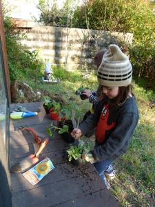 Jardinería para niños3