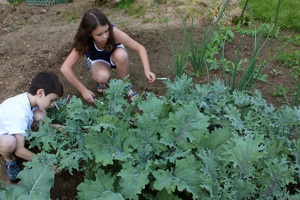 Jardinería para niños4