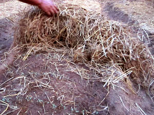 Uso de la paja agrícola en el jardín 1