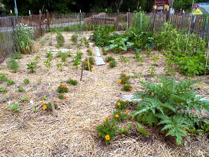 Uso de la paja agrícola en el jardín 2