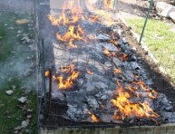 imagen El uso del fuego en jardinería