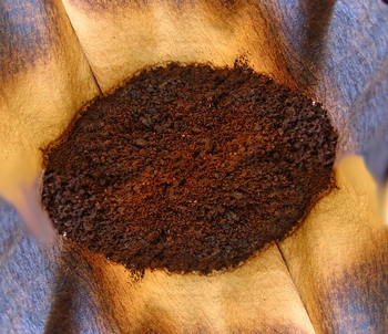 Posos de café como abono 2