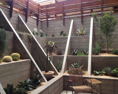 Cactus en el jardín, una tendencia moderna | Guía de Jardinería