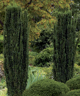 Ambientes en el jardín 4