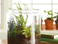 imagen Cómo hacer un terrario decorativo
