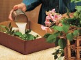 imagen Cómo secar flores con arena
